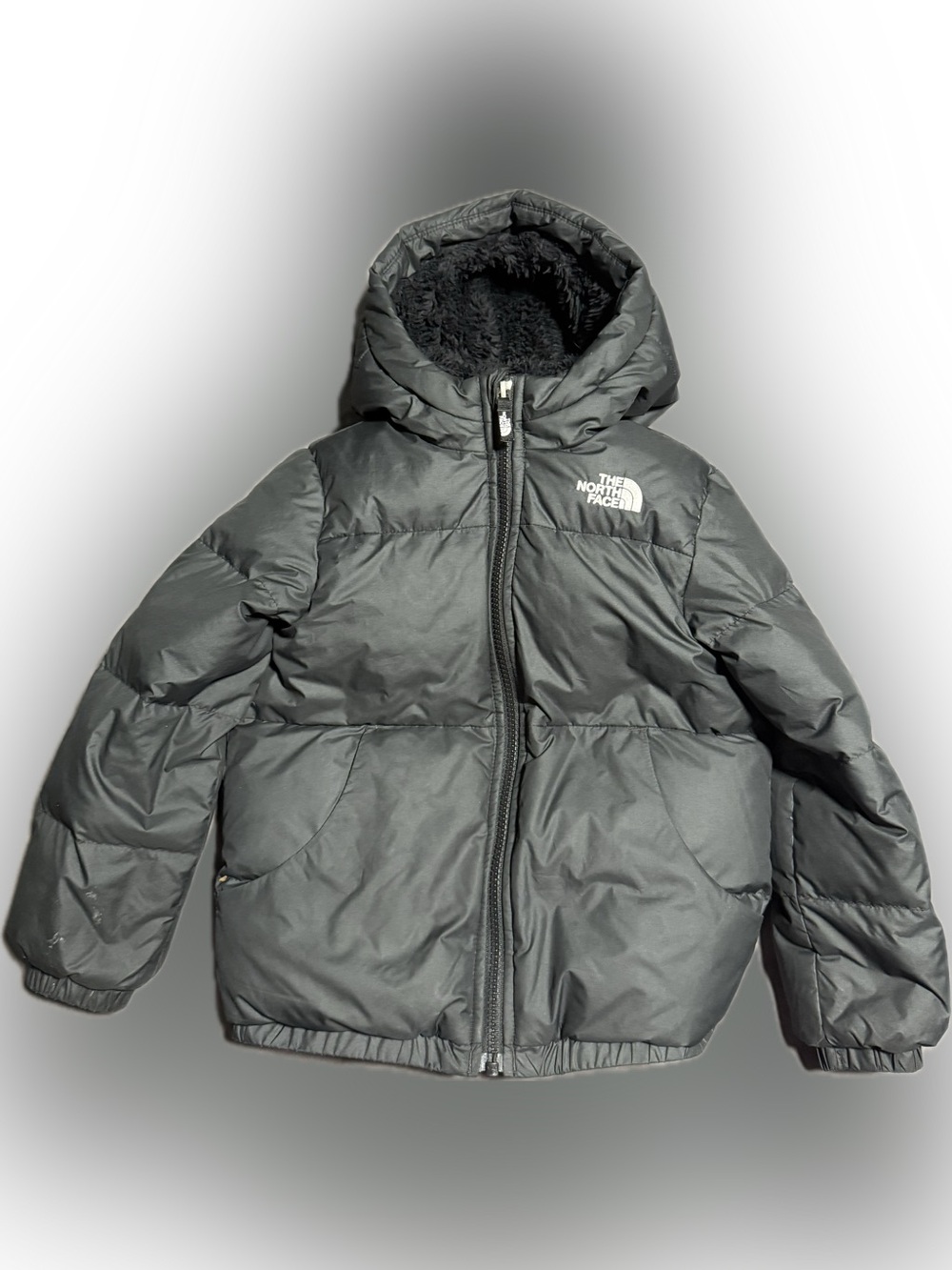 The North Face Hooded Puffer Jacket